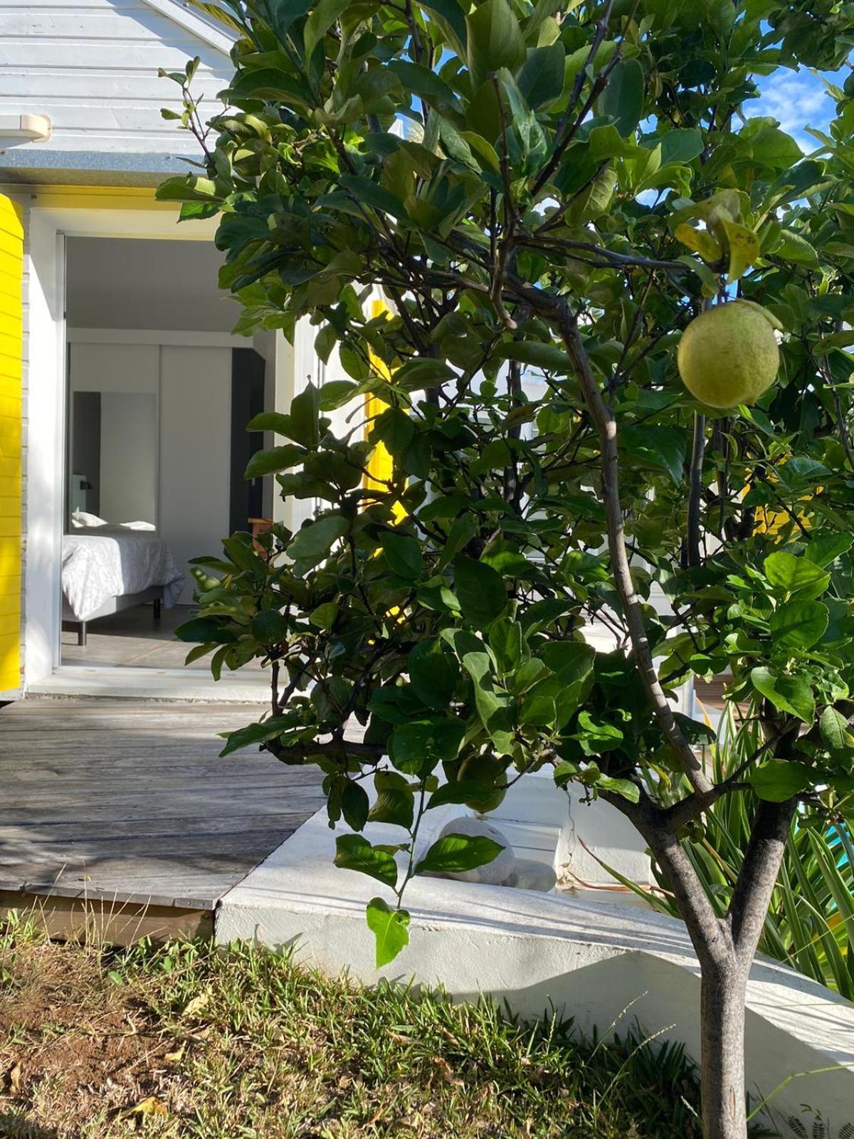 Villa Ylang Сен-Жиль-ле-Бен Екстер'єр фото